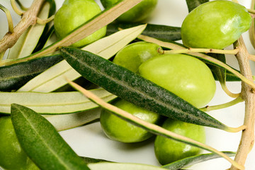 Green olives. Real olive branches with leaves and olives, close-up macro.