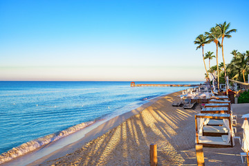 palm beach chaise longue