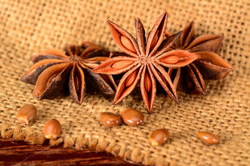 Star anise. Some star anise fruits with seeds. Macro close-up on jute burlap napkin in rustic style.