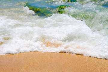 Wave rolls over rock on the sand beach covered with seaweed at high tide. Costa Brava, Spain.