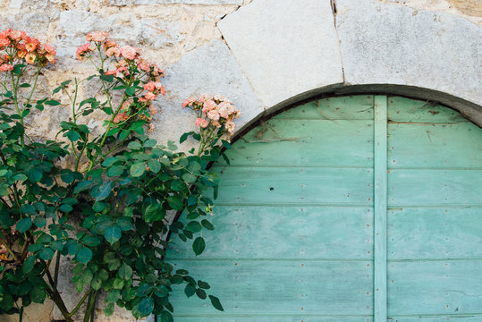 une vieille porte en bois bleu vert et un rosier grimpant