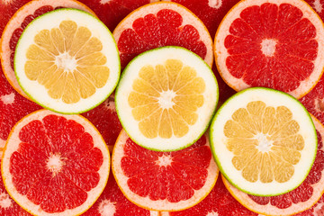 Pomelo and grapefruit slices background.
