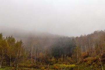 A beautiful mountain with autumn foliage and mist early in the morning.