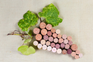 Wine corks lying in the form of grape cluster