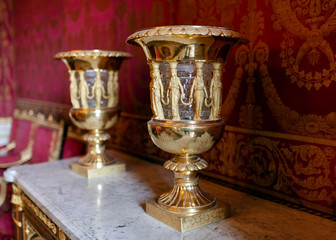 Antique Cup. Silver and ivory