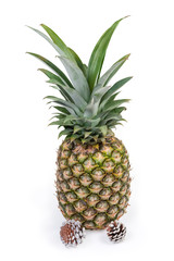 Fototapeta premium Whole fresh pineapple and pine cones on white background