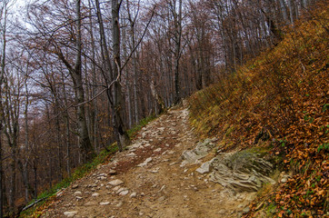 turystyczny szlak bieszczady 