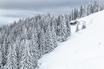 Winter in the Carpathians.