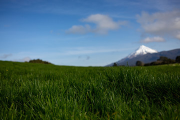 Grass focused with volcano in the background