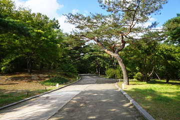Obraz premium the beautiful scenery of Changdeokgung Palace