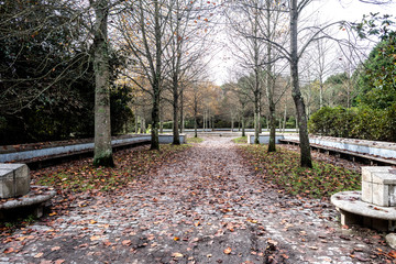 oporto city park in autumn