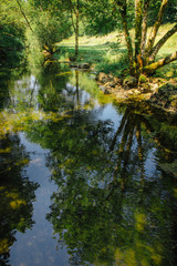 une rivière et reflets d'arbres en été