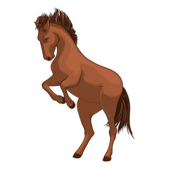 Wild horse. The brown horse kicks. Taming a horse. Vector illustration on white background.
