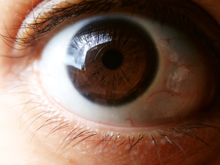 Close up of human eye