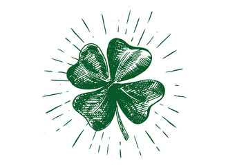 Patrick day. Clover, hand drawn illustration.