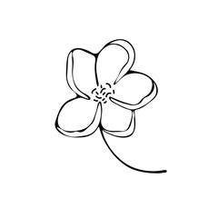 Fototapeta premium Flower art line. Sakura or Apple blossoms in vector isolated on white background. Spring flowers drawn in black and white line. Icon or symbol of spring and flowers.Doodle outline.