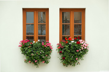 Fototapeta na wymiar Beautiful windows with flowers in the old town