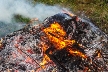 Farmer burns green waste in the concept of bonfire, bonfire outdoors, agriculture. Fallen leaves, branches and household trash burns in an autumn fire