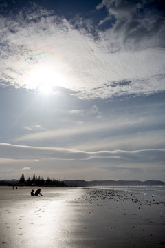 Endless Summer