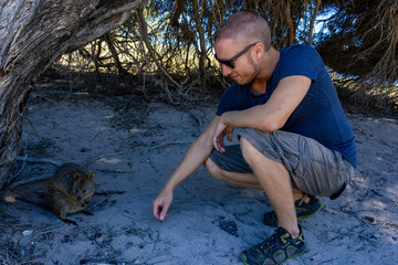 young caucasian man with a Quokka in rottnest island, Perth, Australia