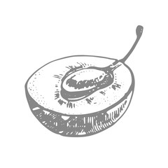 Plums hand drawn illustration. Ink sketch. Hand drawn illustration. Seamless pattern. Healthy organic food. Farm market products. Best for package design.