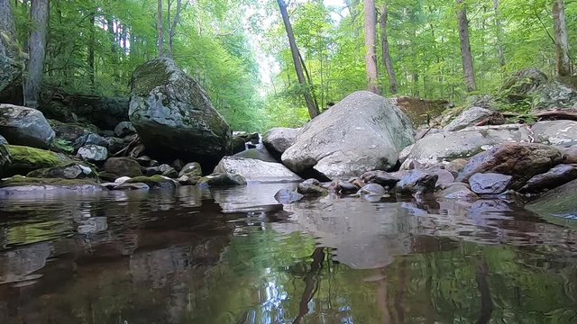 Fresh Water Pool - Hazel River Shenandoah Virginia