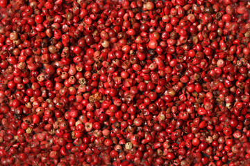 close up on pink pepper grains