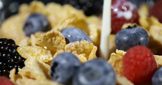 Extreme close up macro shot of milk pouring over sugar coated corn flakes cereals with blueberries, blackberries and raspberries for a delicious and vaguely healthy breakfast.