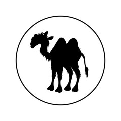 Camel - vector logo icon for web. black on white. Minimalistic cartoon style.