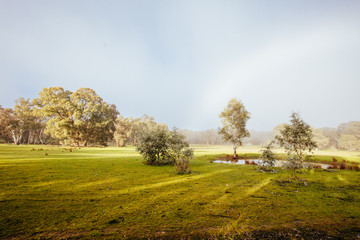 Muckleford Nature Conservation Reserve near Maldon