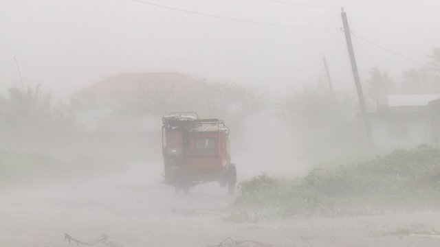 Hurricane Wind And Rain Batters Vehicle - Megi