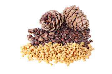 Cedar nuts in the shell and peeled with cones isolated on the white