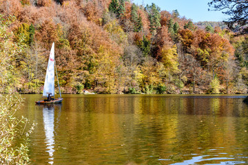 Sailboat on the Lake 