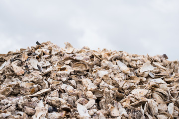 un monticule de déchets de coquille d’huître pollution