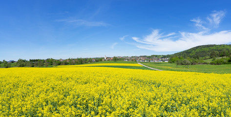 Blühendes Rapsfeld in ländlicher Landschaft mit Dorf in Deutschland - Panorama