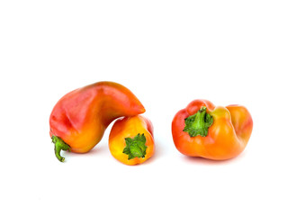 Red peppers on a white background
