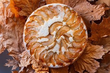 Freshly baked homemade apple pie on yellow autumn leaves background. Autumn traditional pie, dish.