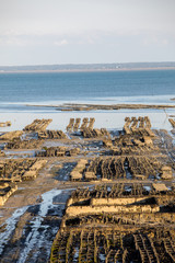 Oyster beds at low tide in oyster farm, Cancale, Brittany, France