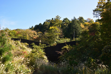 Fototapeta na wymiar 日本の鳥取県の美しい紅葉
