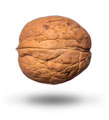 levitating walnut on an isolated white background