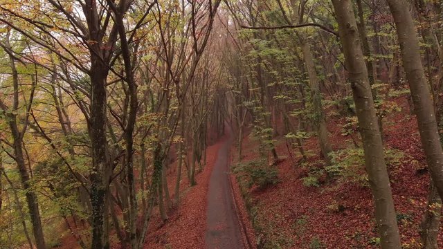 autunno 3