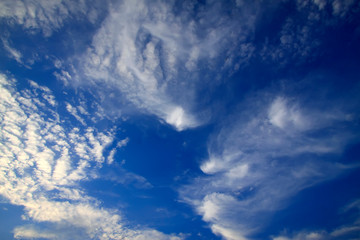 Obraz premium blue sky and white clouds