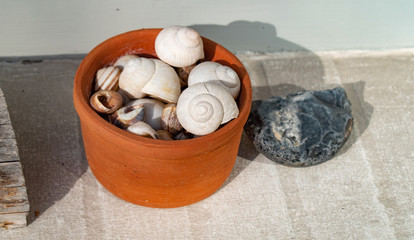 creative background. snails in ceramic pot and a stone on windowsill