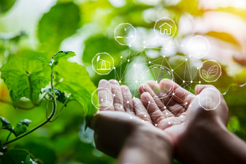 Technology, hand holding with environment Icons over the Network connection on green background.