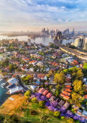 D Jacar Kirrib Street Top Down CBD