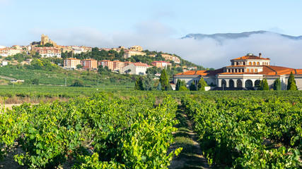 Vineyard with Laguardia town as background, Rioja Alavesa, Spain - 300327757