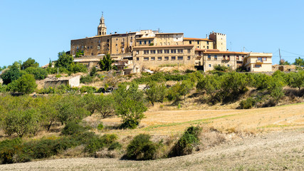 Fototapeta na wymiar Town of Labraza, Rioja Alavesa, Spain