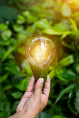 hand holding light bulb against nature, icons energy sources for renewable,