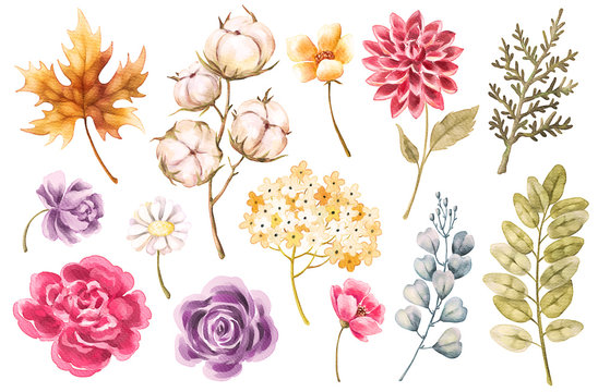Watercolor flowers, leaves, plants, branches set