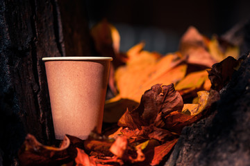 paper coffee cup at fall season faded leafs background